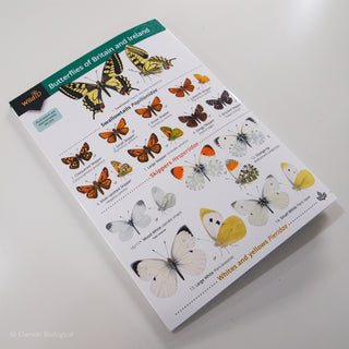 Butterfly FSC Folding Field Guide