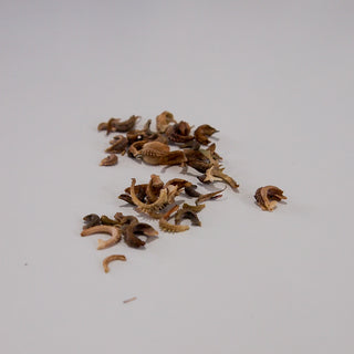 Calendula Pot Marigold Seeds