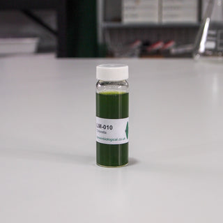 Chlorella in glass universal bottle